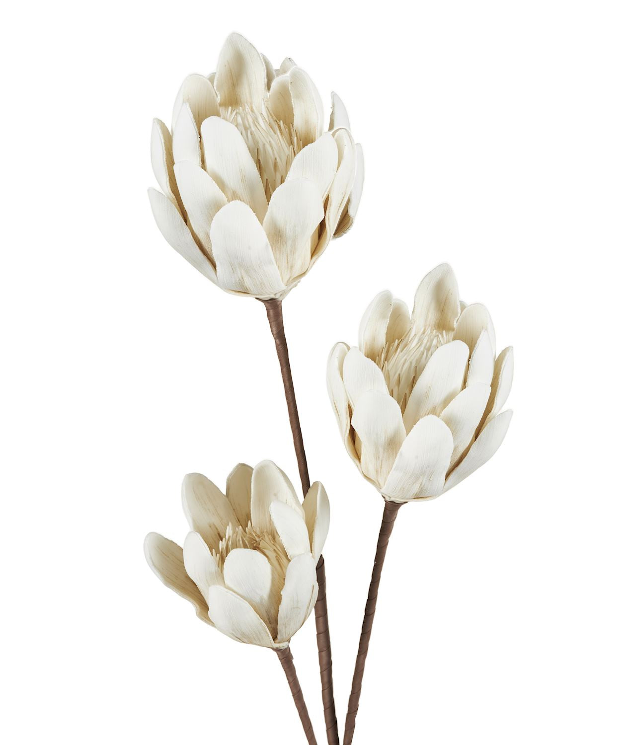 Life-like Protea Stem