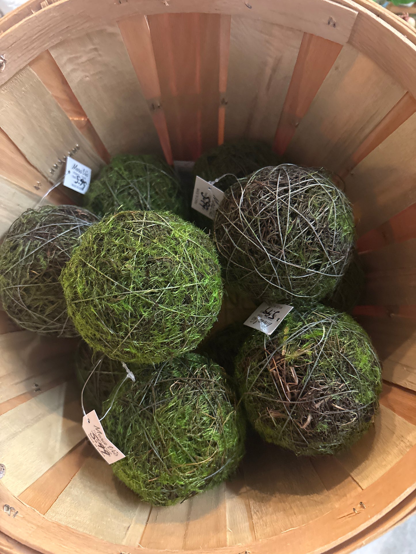 Mossy Twig Ball