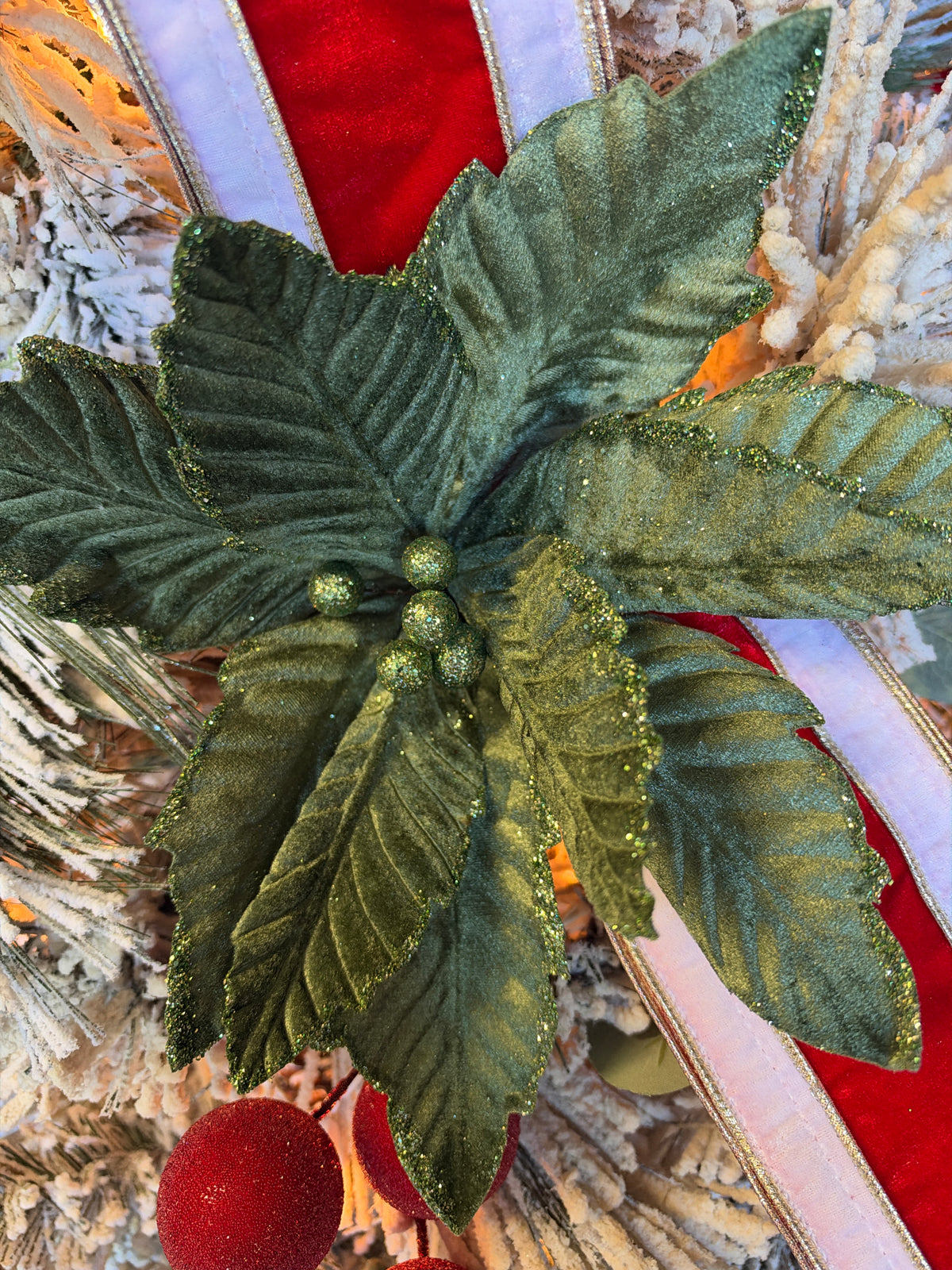 Velvet Sage Poinsettia