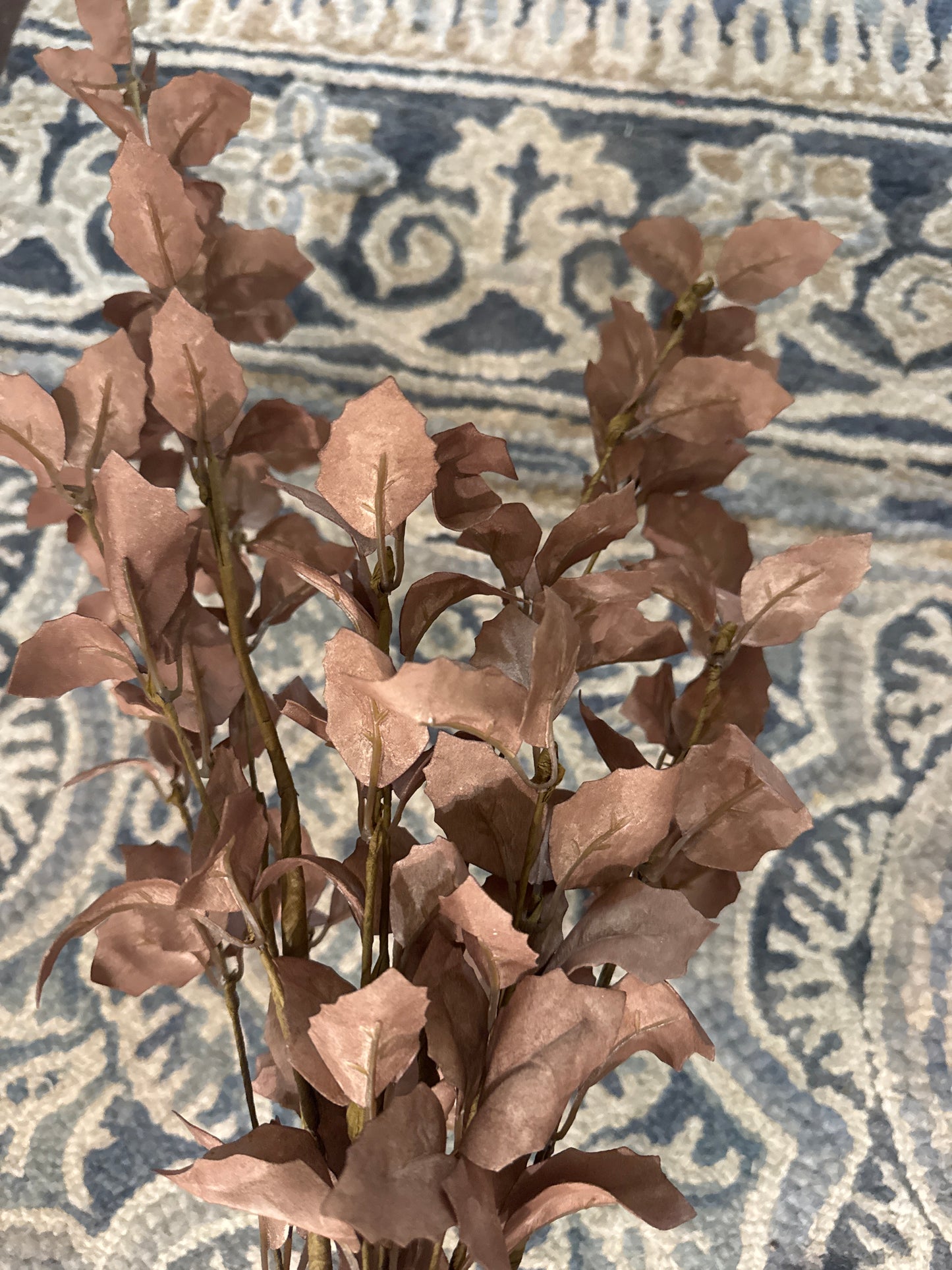 Brown Leaf Stem