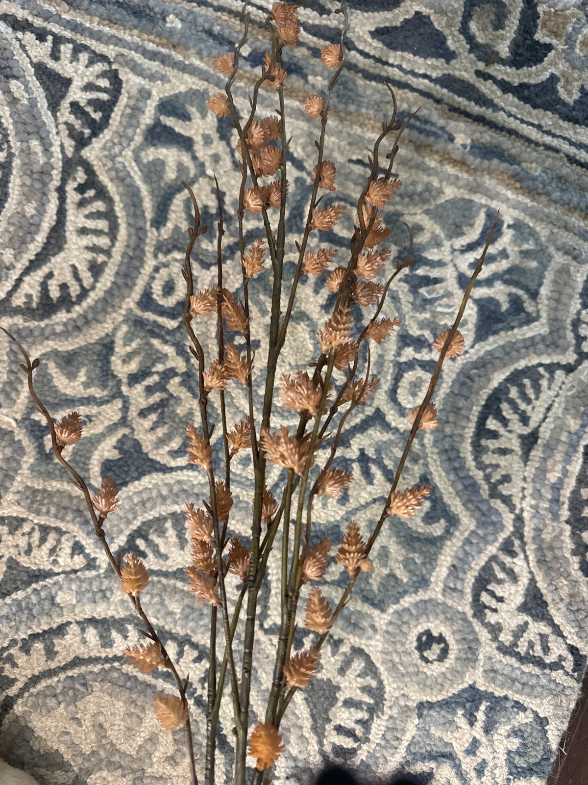 Tan Straw Flower Stem