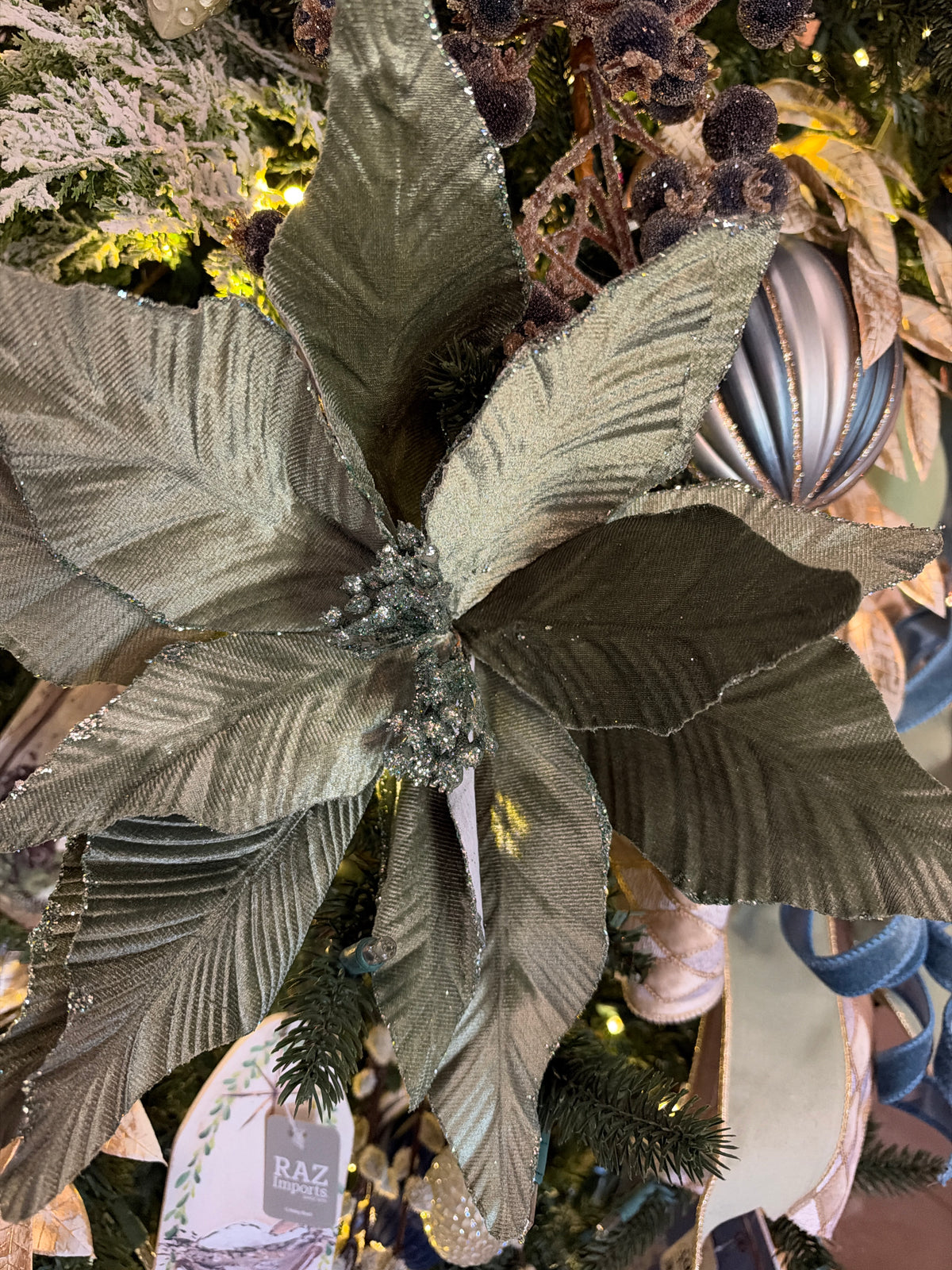 Glitter Sage Poinsettia