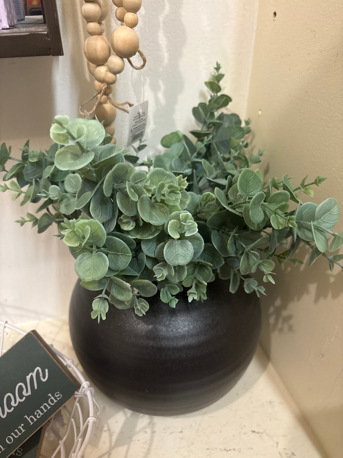 Eucalyptus Mini Bush