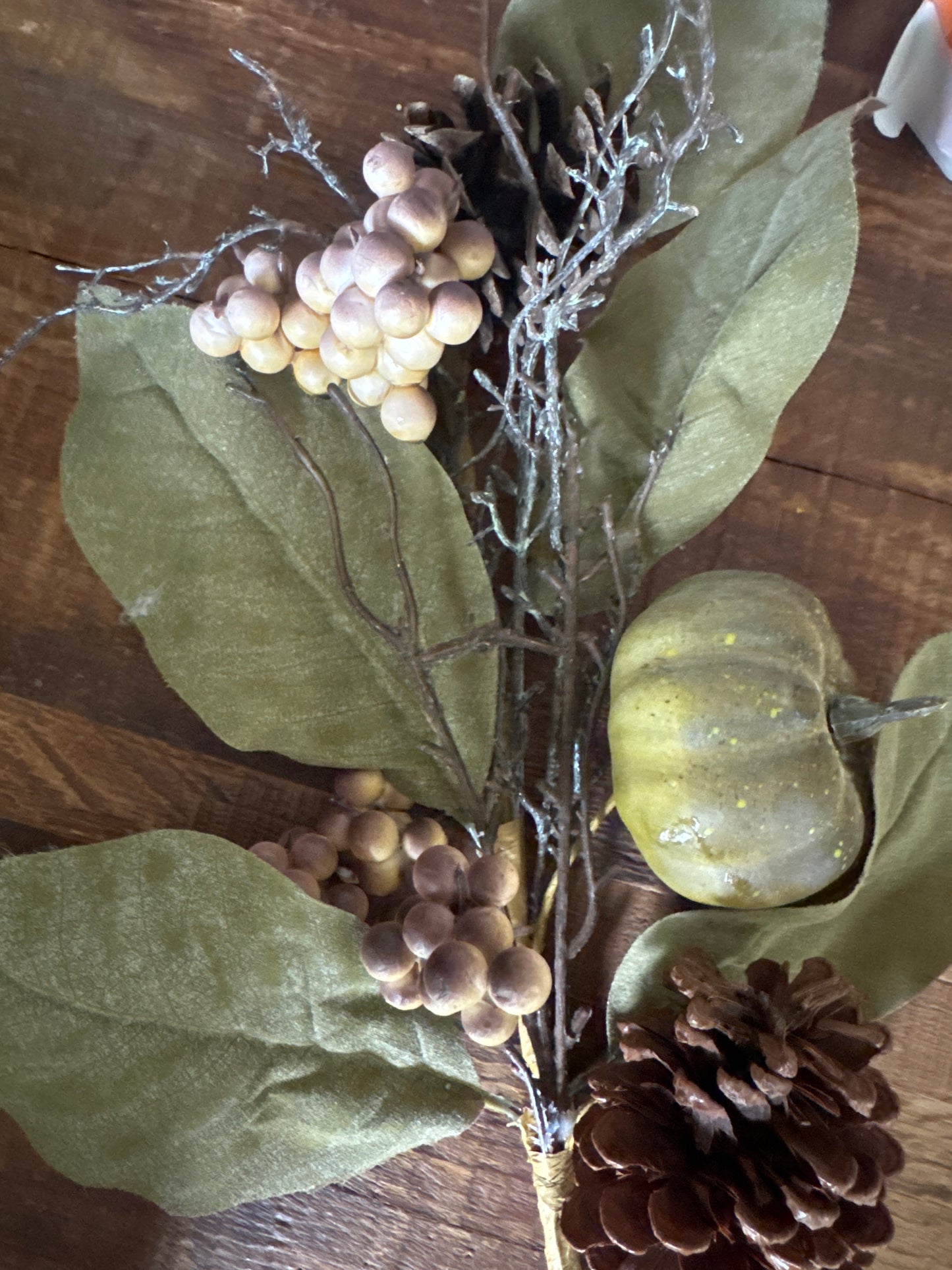 Green Magnolia Stem