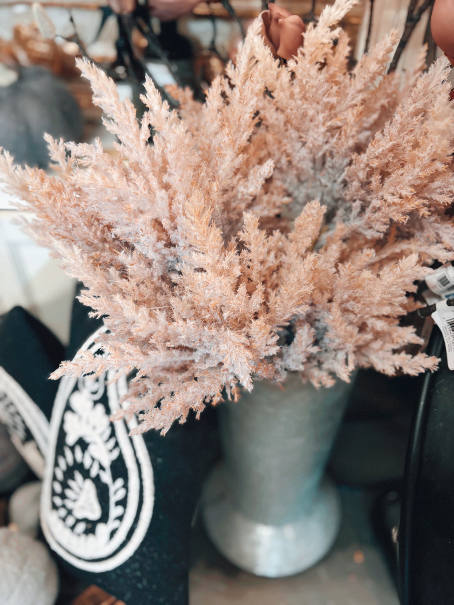 Pampas Grass Bundle
