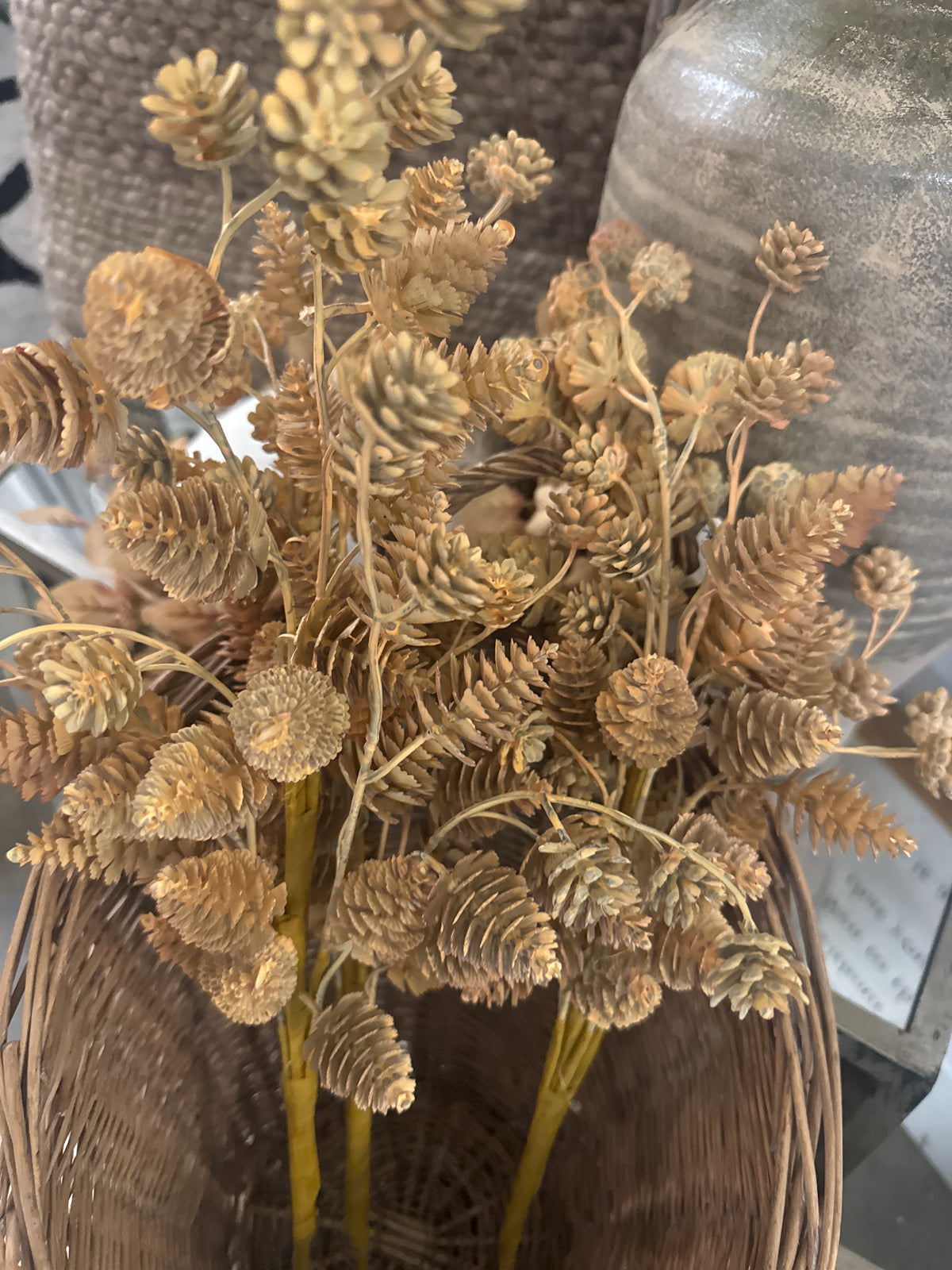 Fall Pinecone Bush