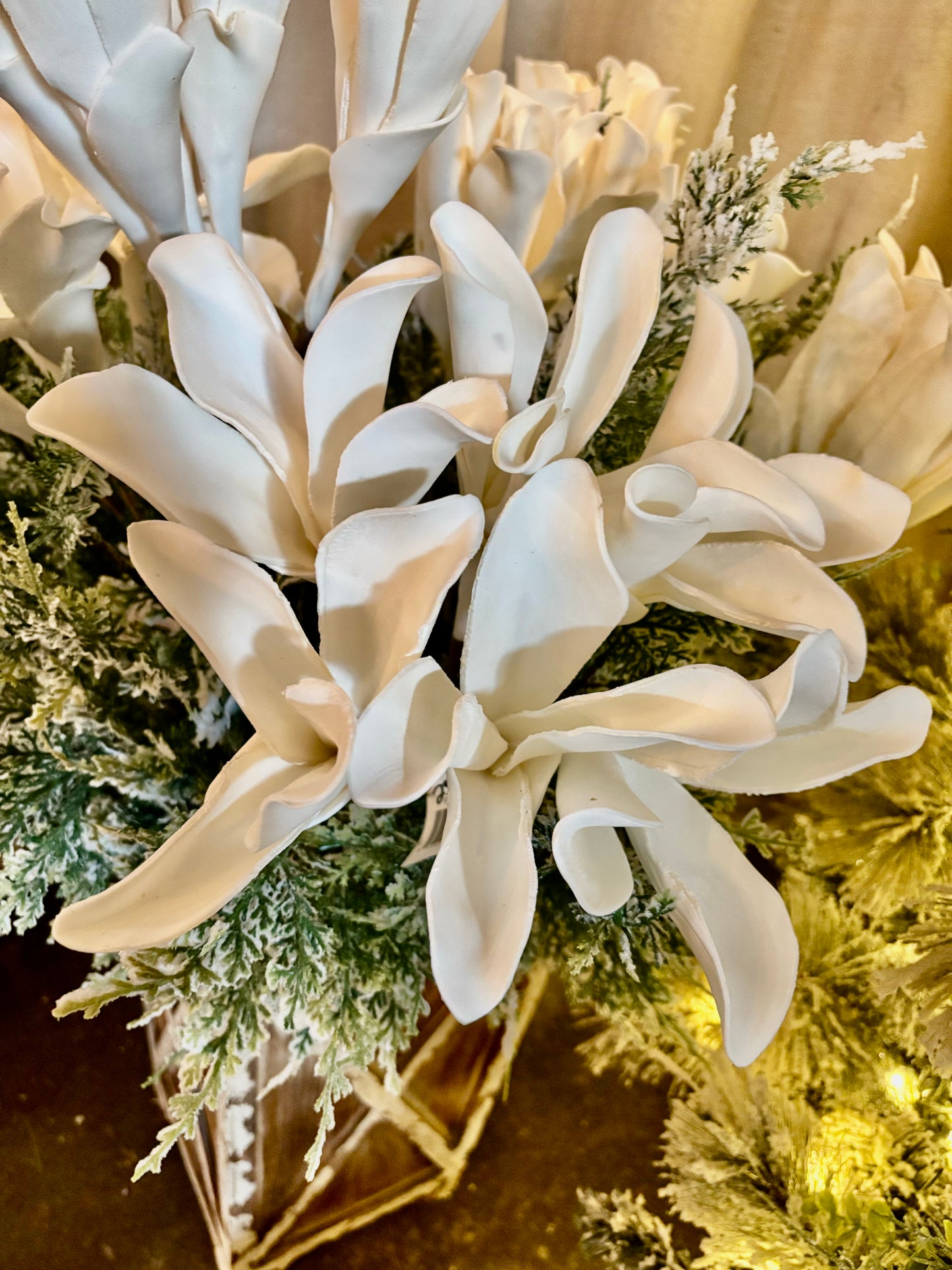 White Foam Flower