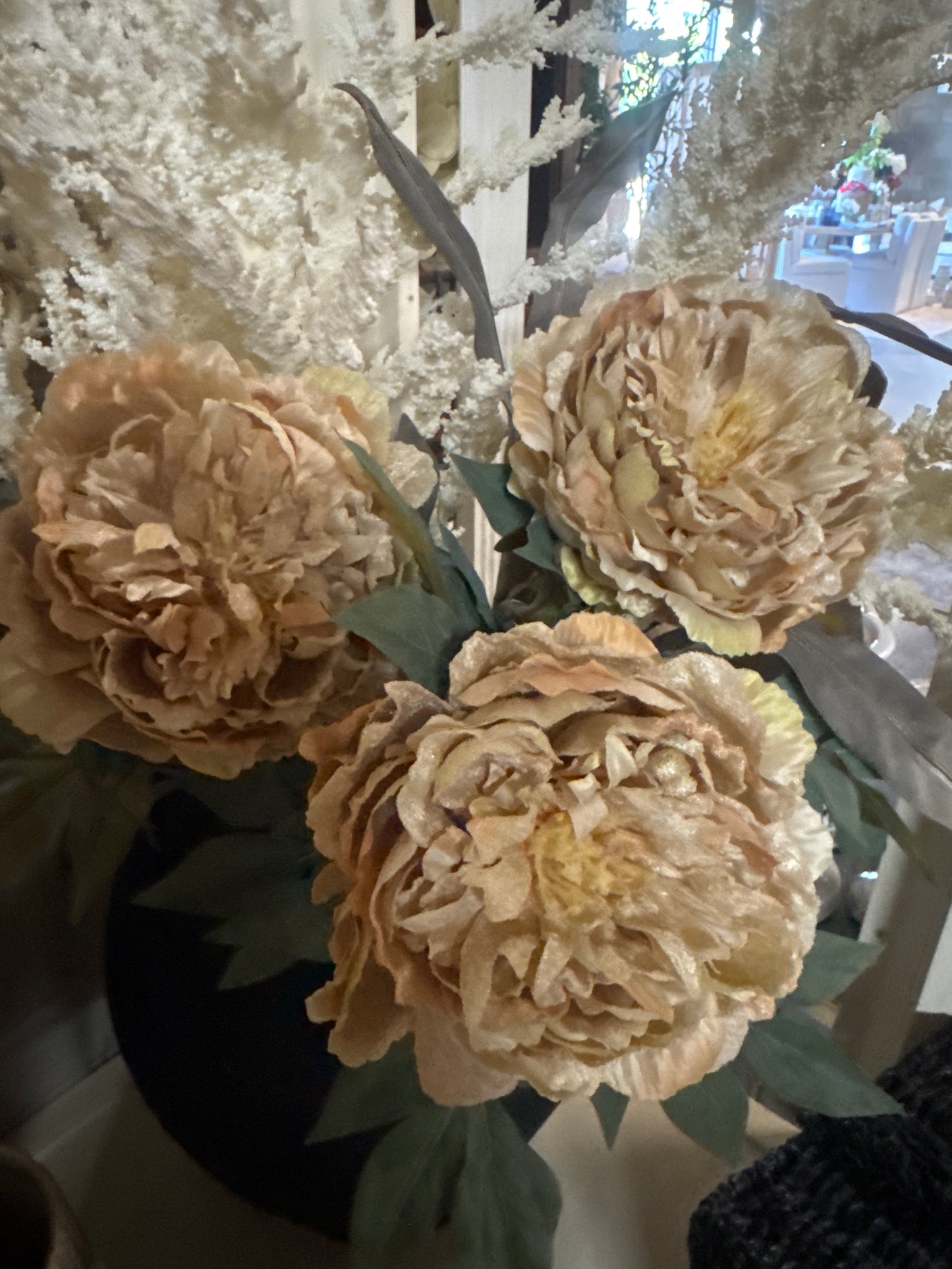 Dried Cream Peony