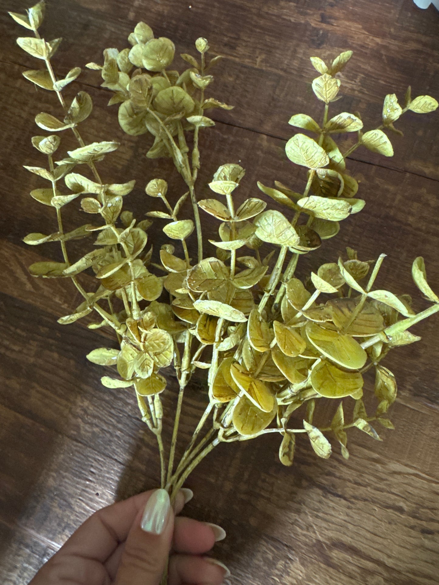 Yellow Euc