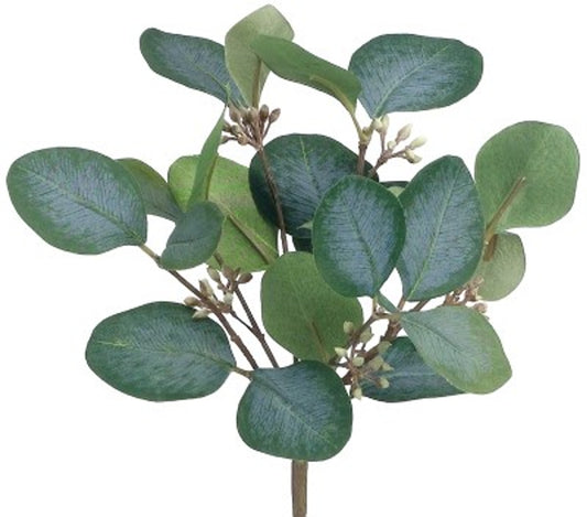 Eucalyptus Bush 10"