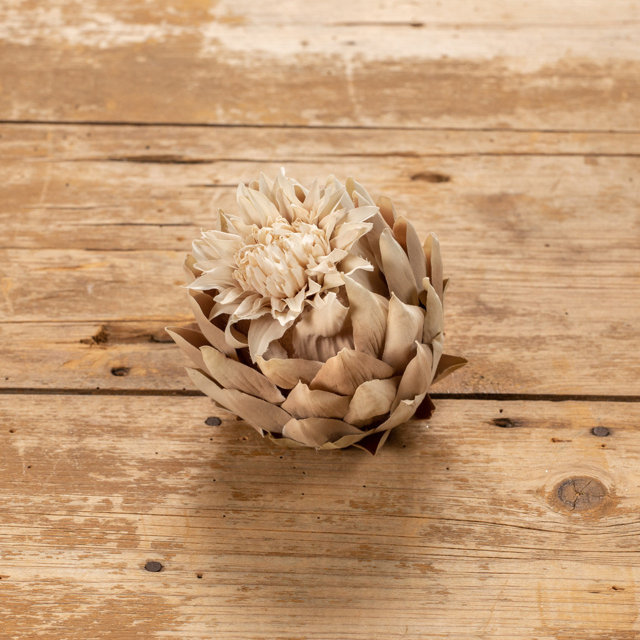 Beige Artichoke Head