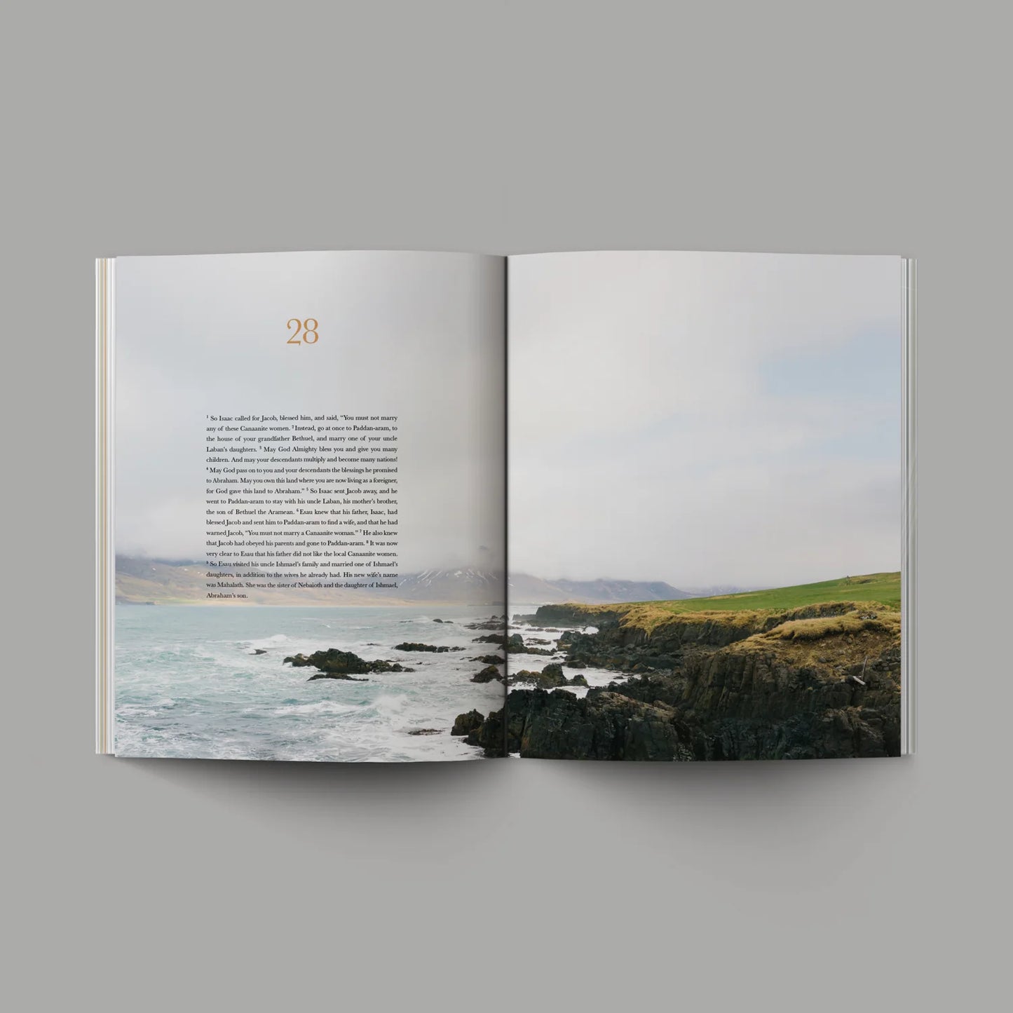 Genesis Alabaster Book