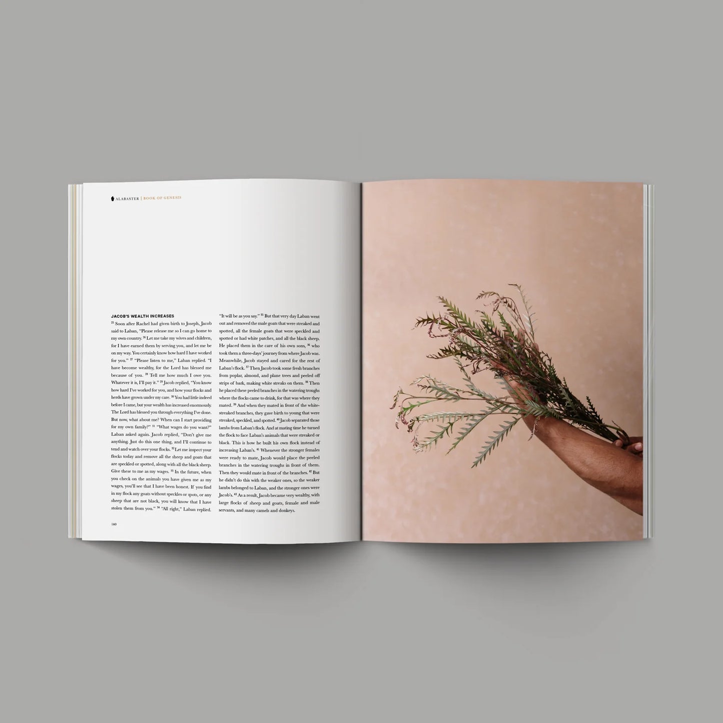 Genesis Alabaster Book