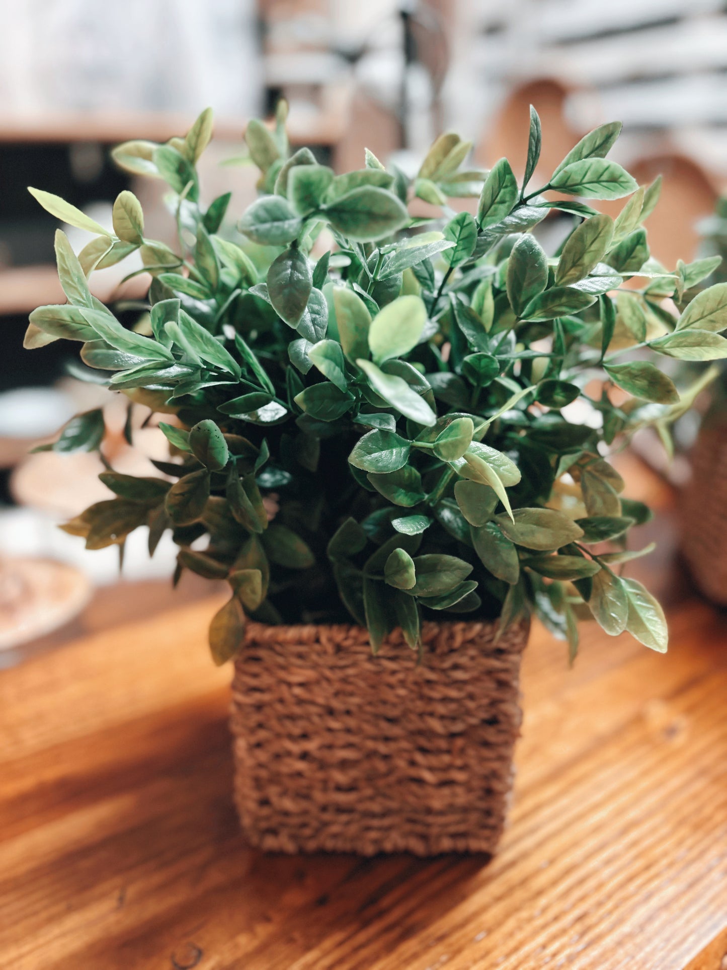 Herbs in Woven Basket