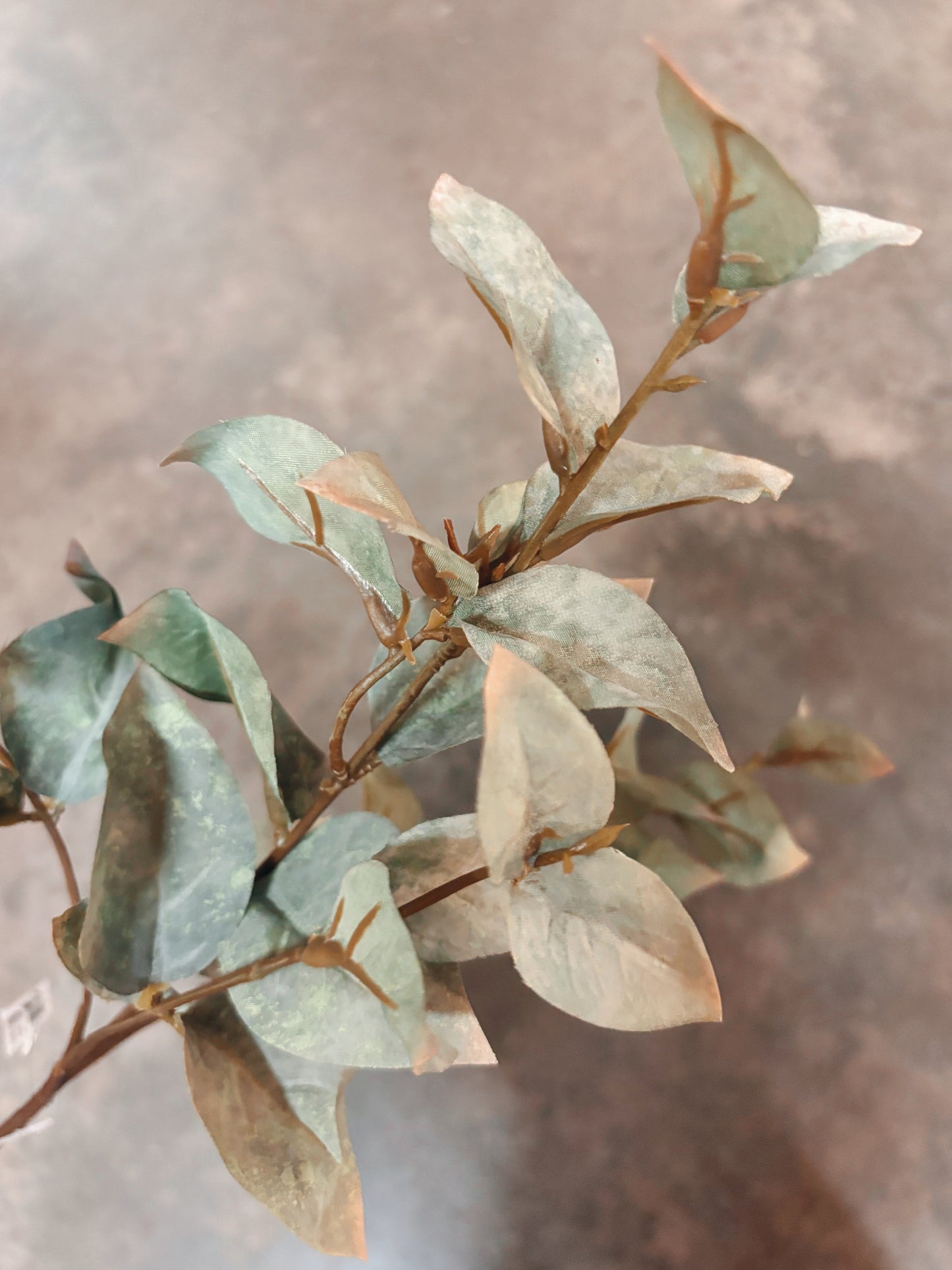 Sage Eucalyptus Stem 23.5"