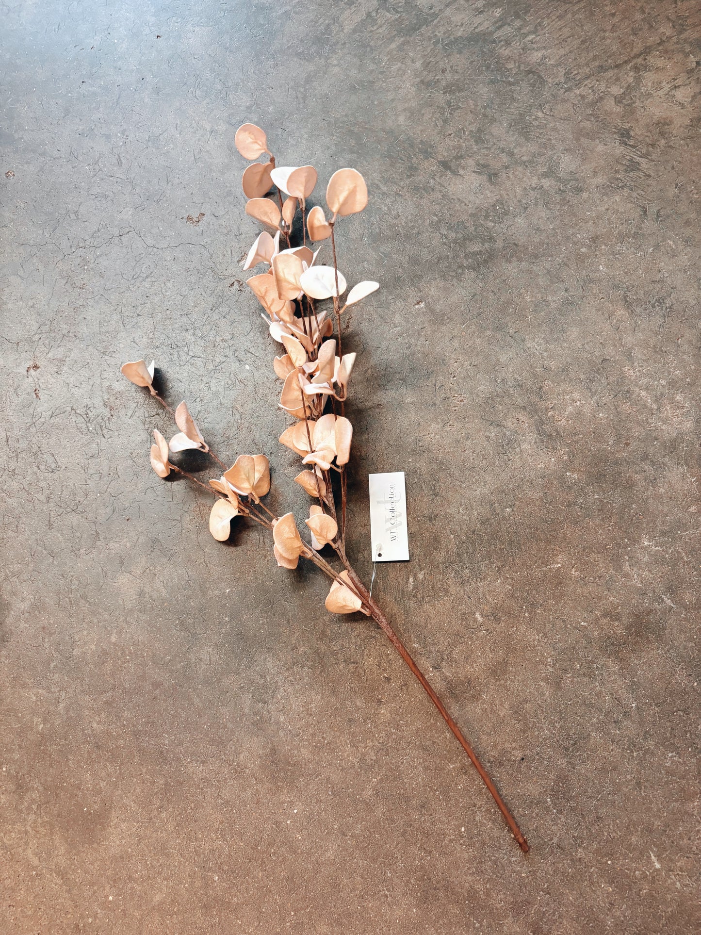 Green & Yellow Eucalyptus Picks