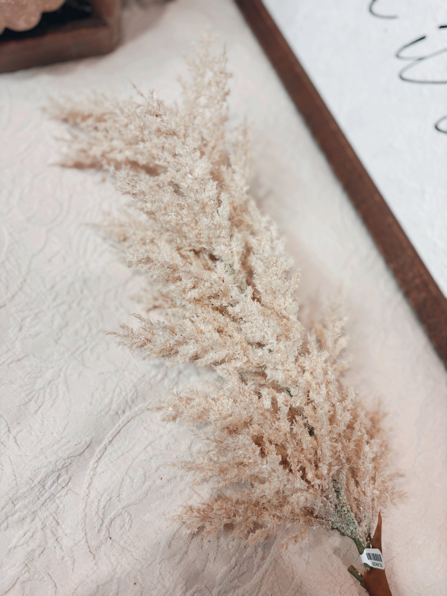 Pampas Stem