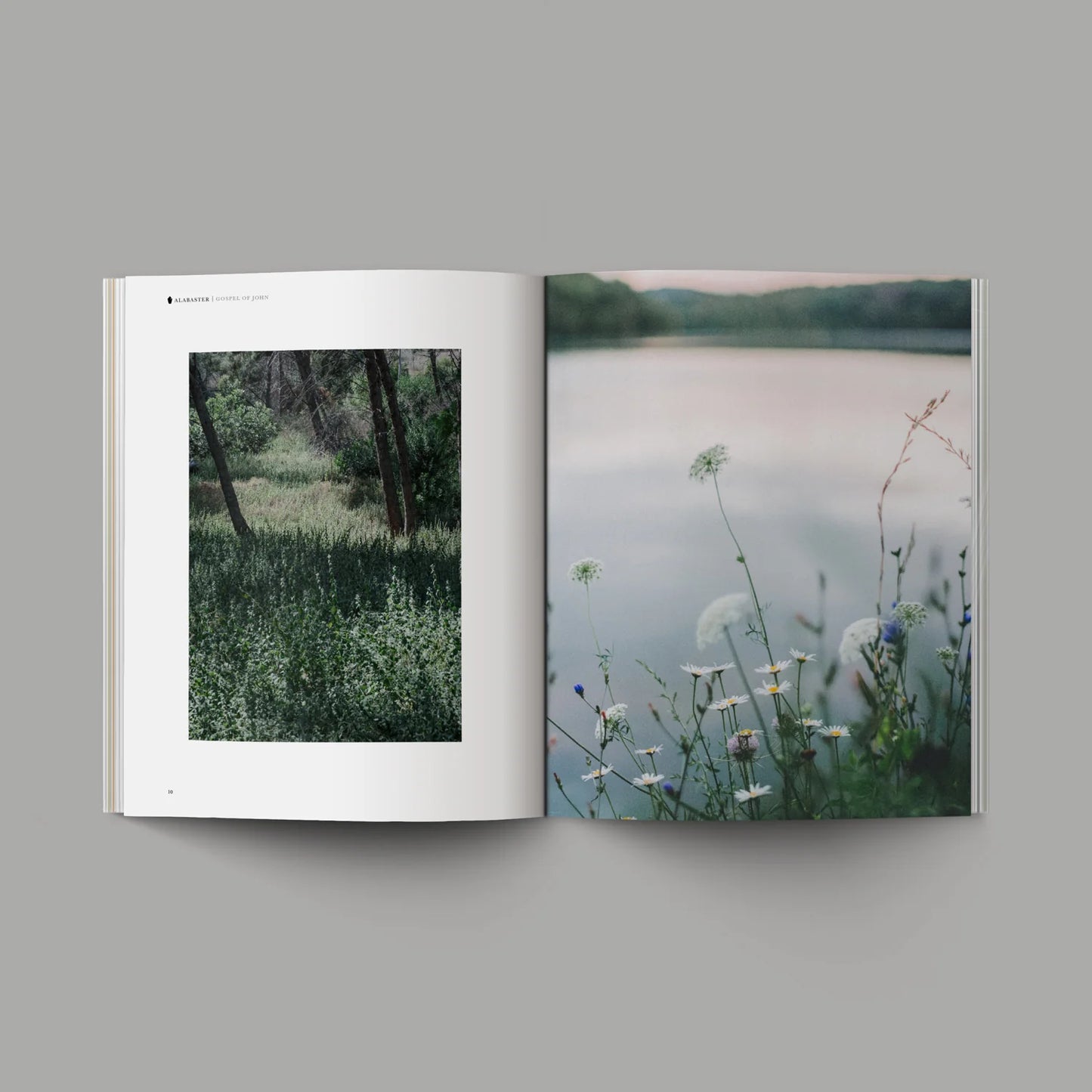 John Alabaster Book