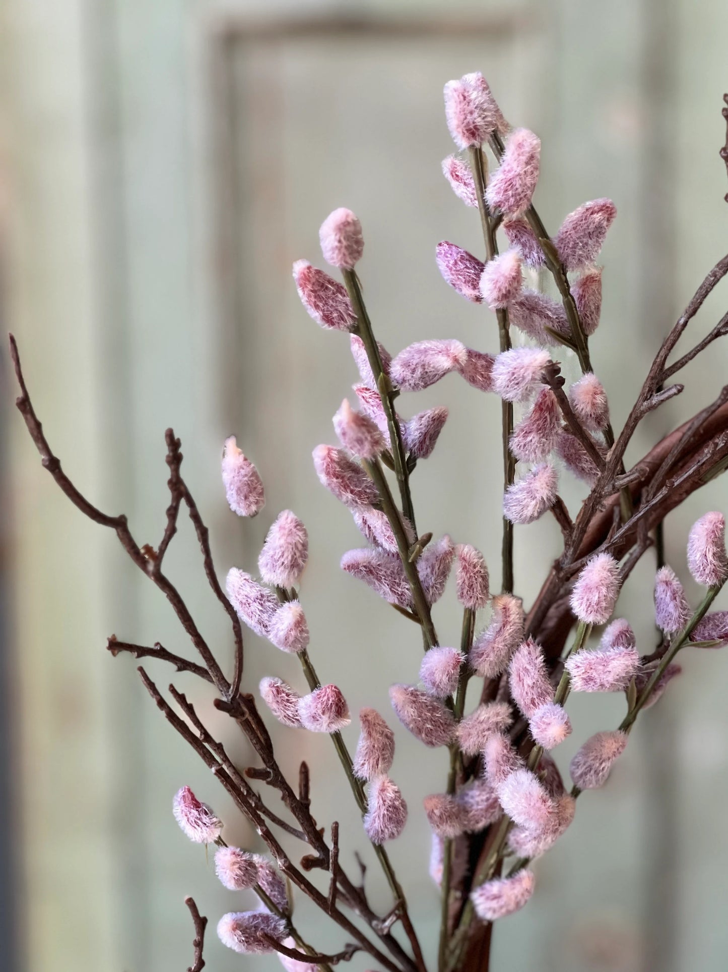 Blushing Catkin Buds Wreath