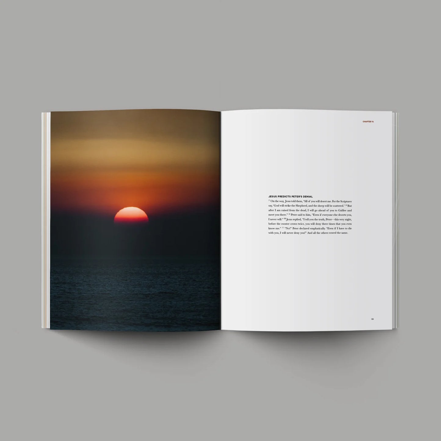 Mark Alabaster Book