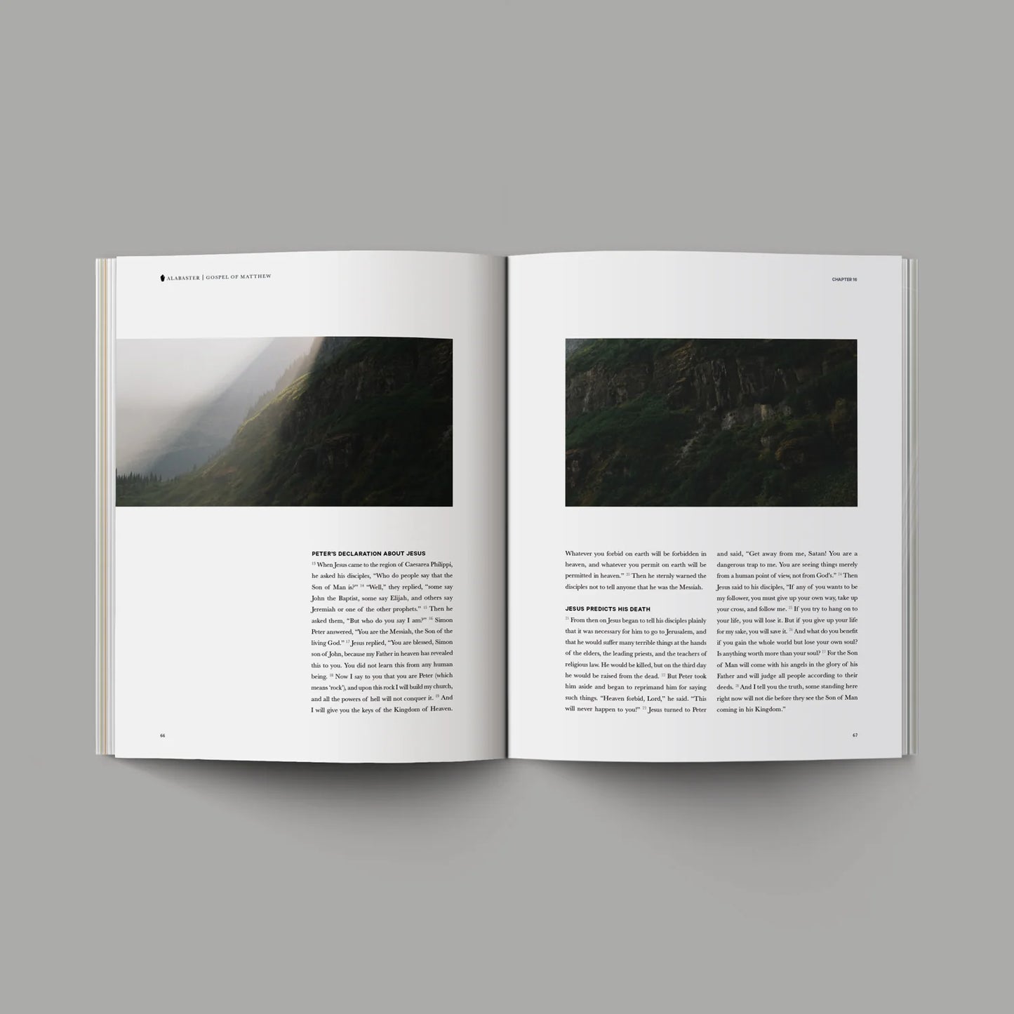 Matthew Alabaster Book