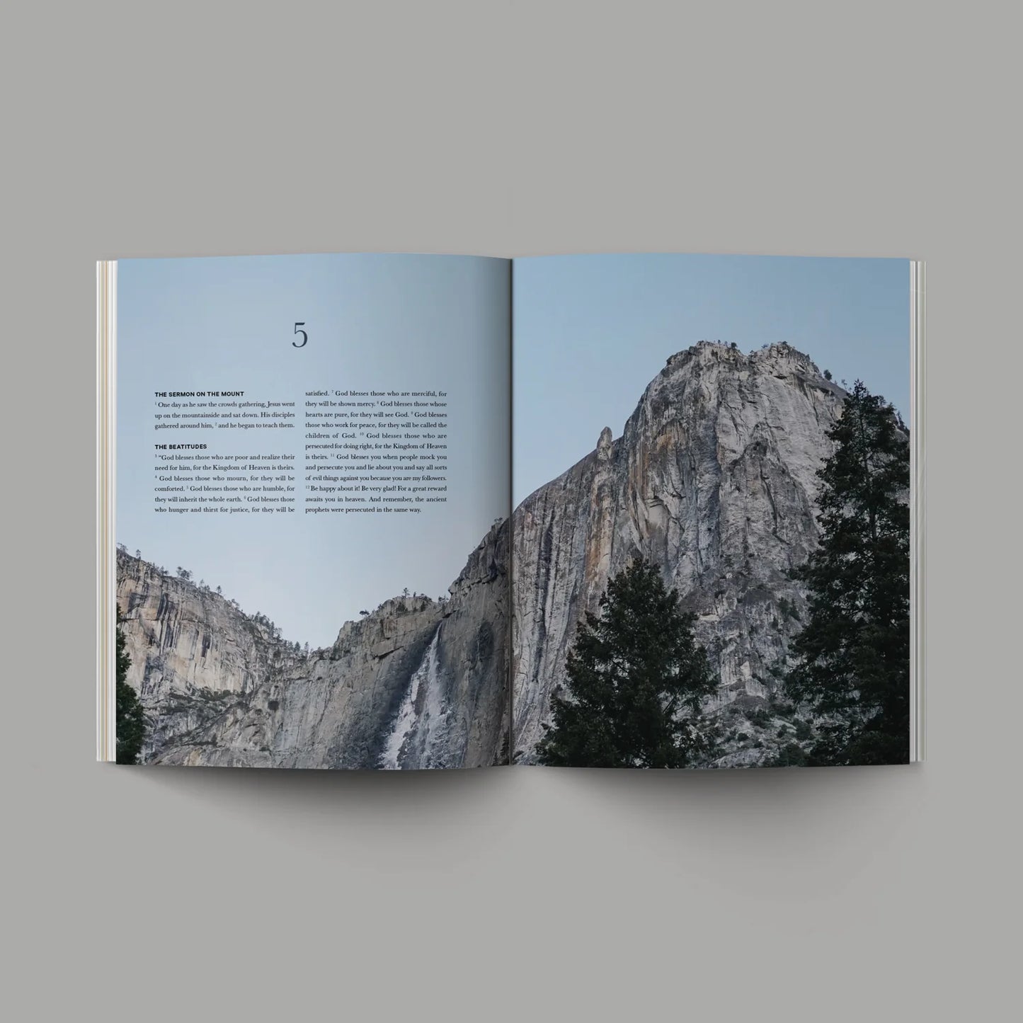 Matthew Alabaster Book