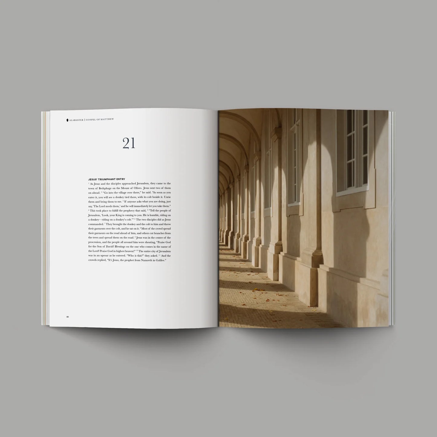 Matthew Alabaster Book