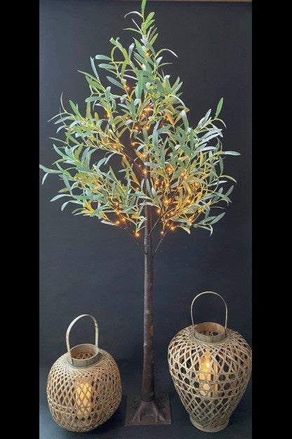 LED Lit Olive Tree ***LOCAL PICKUP ONLY***