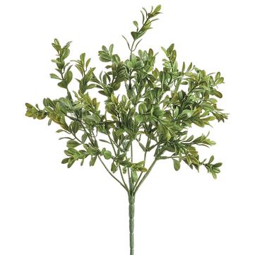 Mini Boxwood Bush 12.9"