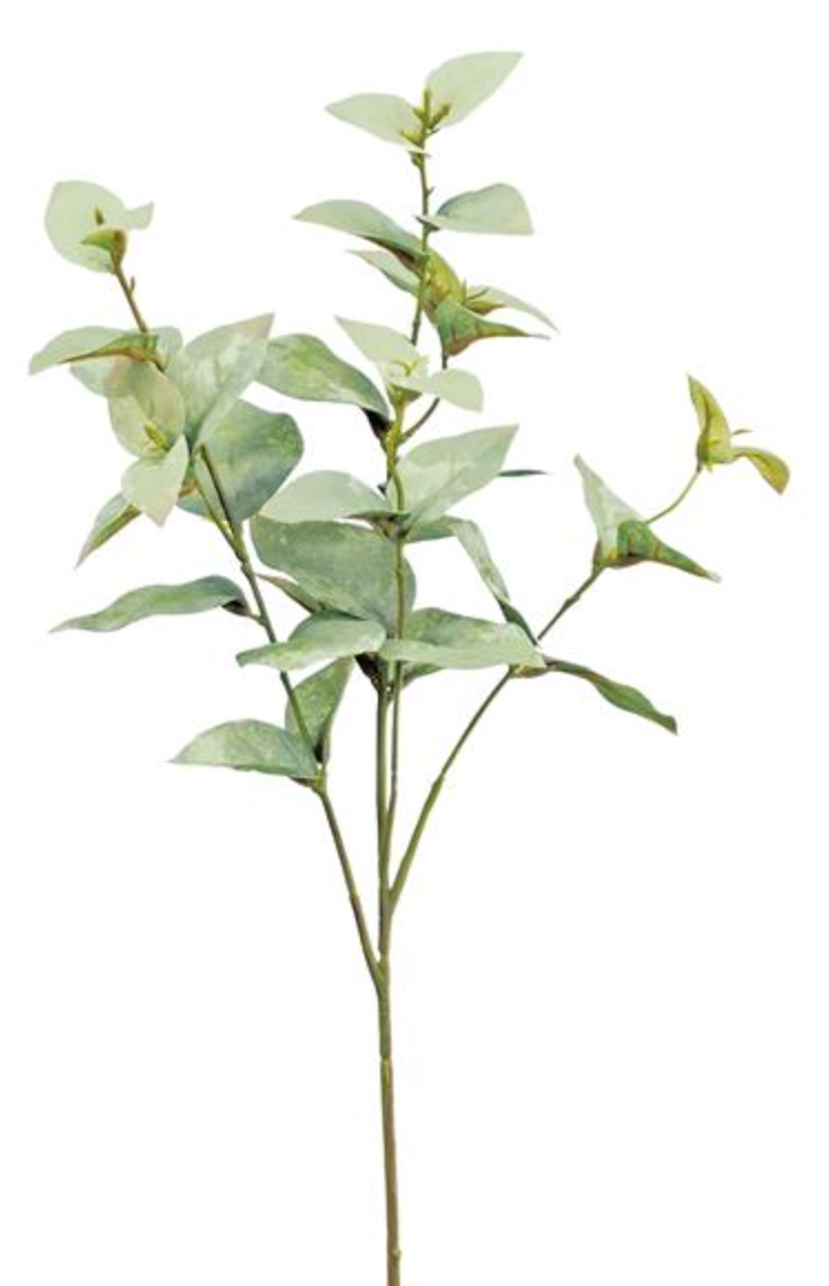 Sage Eucalyptus Stem 23.5"
