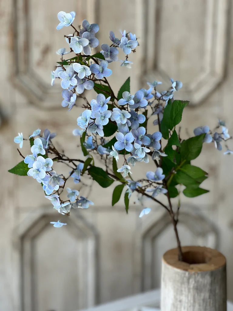 Canterbury Hydrangea Stem
