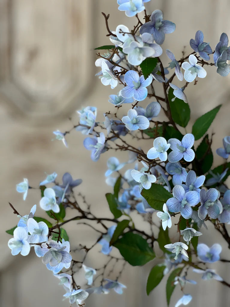 Canterbury Hydrangea Stem