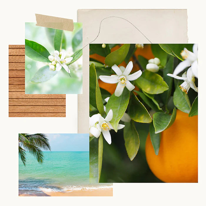 Neroli Sol Cologne