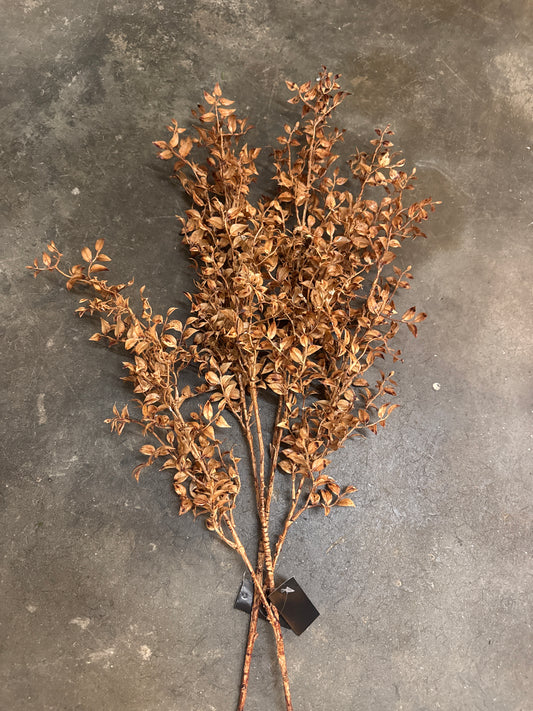 Long dried leafy stem