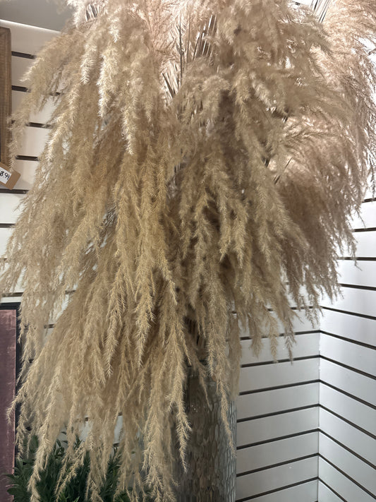 Palm Stems
