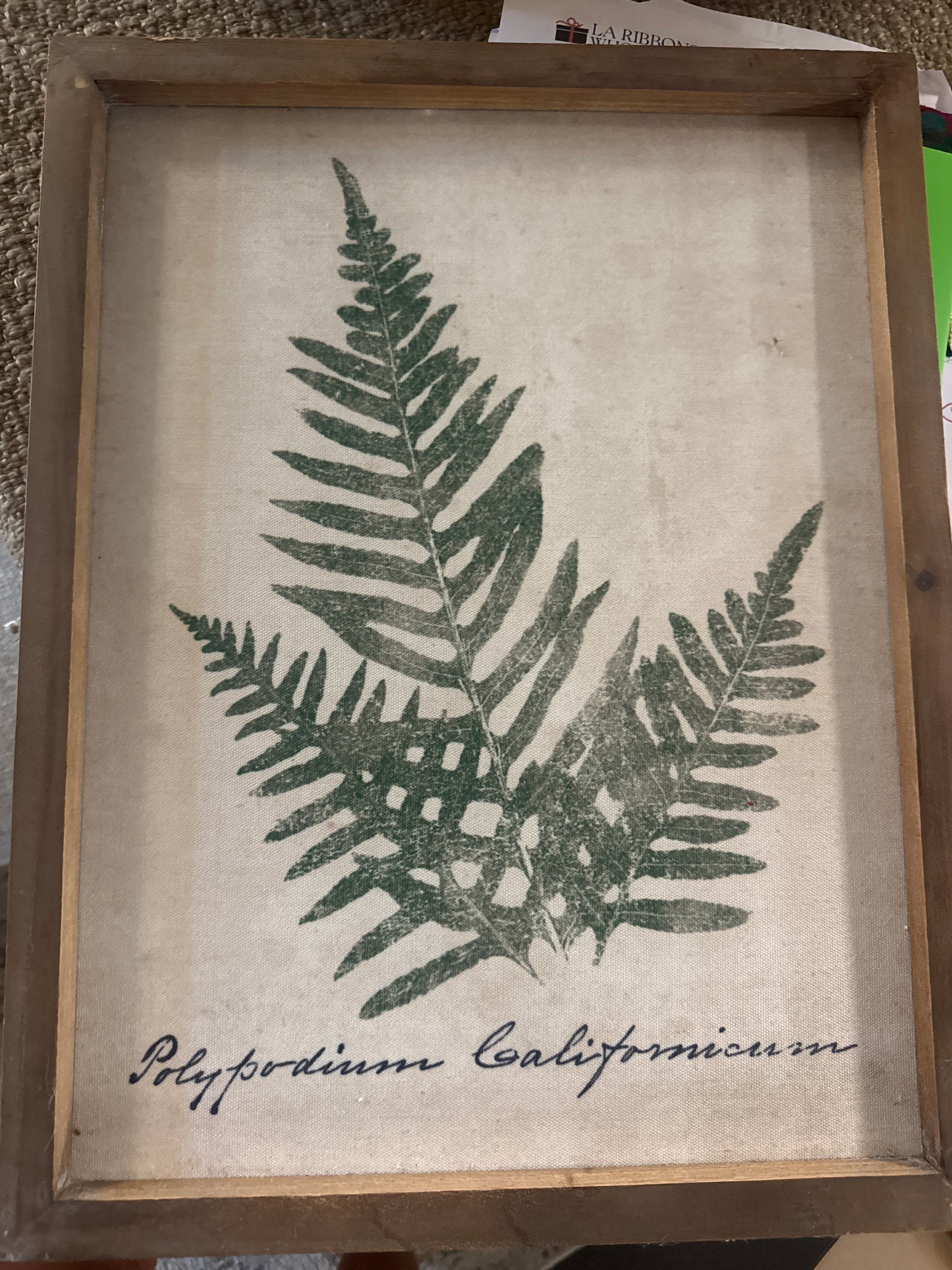 Green Fern Art