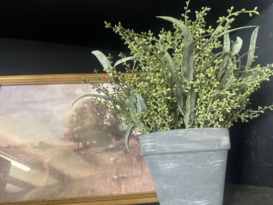 Potted Plant