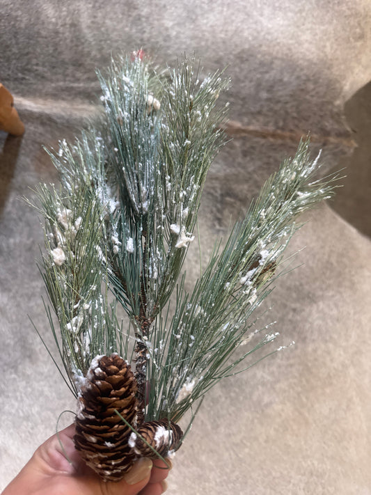 Snowy Pine