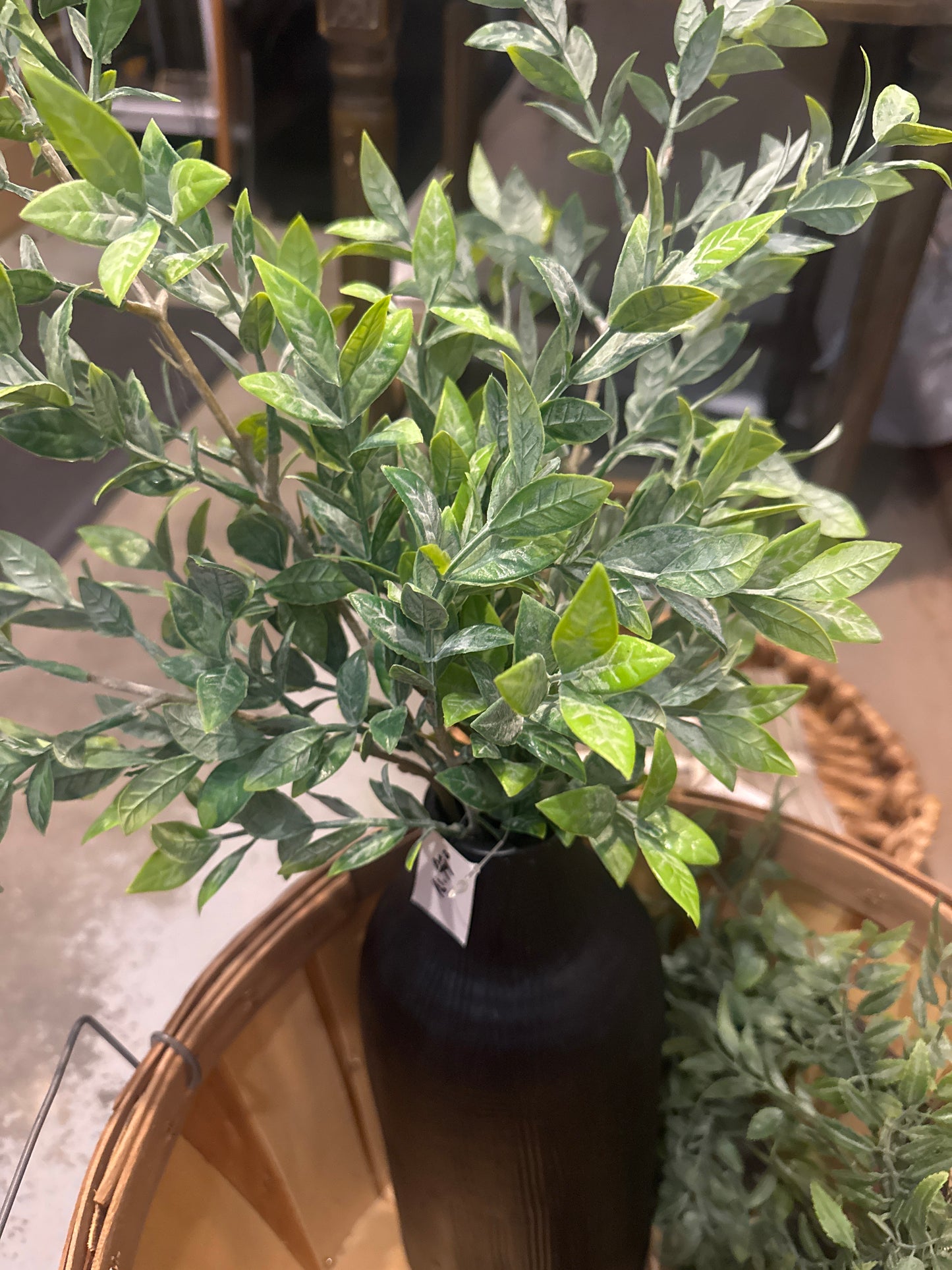 Green Leaf Stem