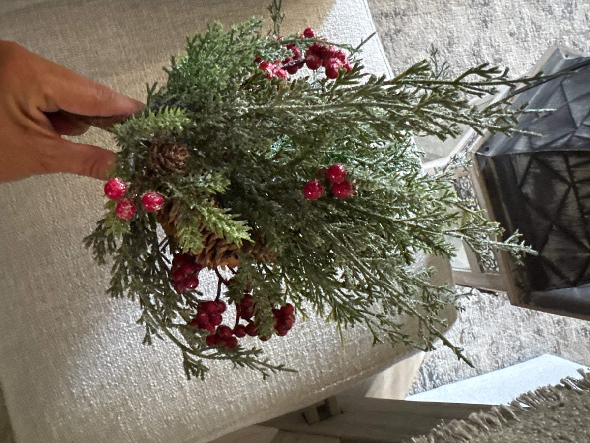 Divinity Bush