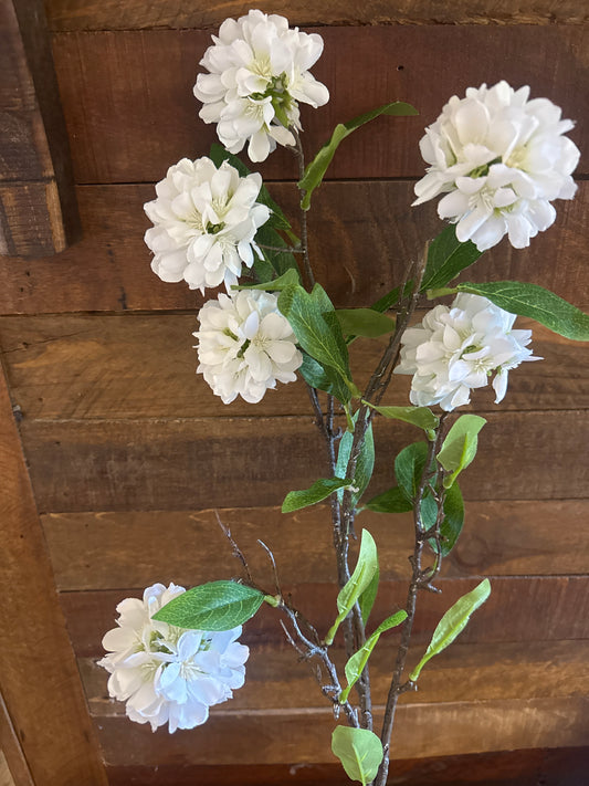 White Kerria Spray
