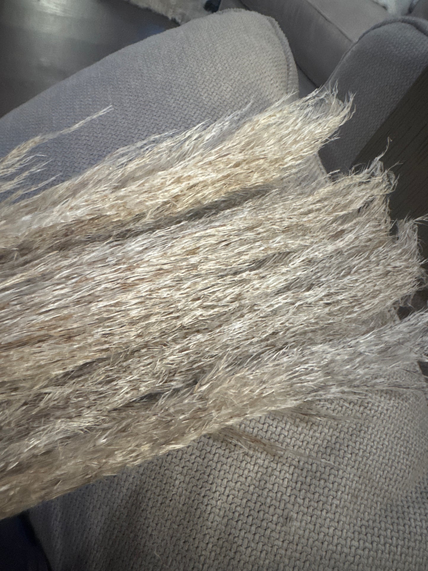 Brown Pampas