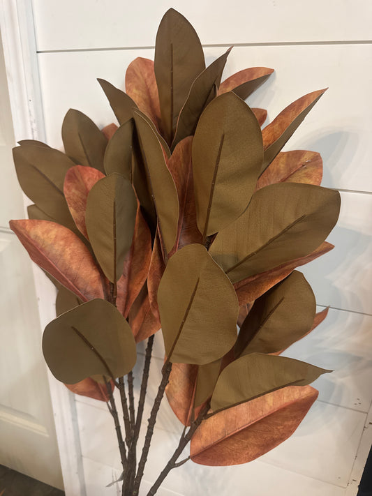 Large Magnolia Stem