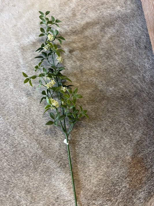 Yellow Seeded Stem