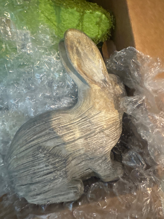 Cement Bunny