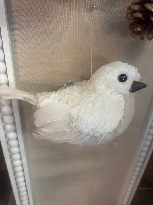 Bird Orn