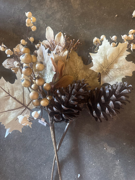 Dried cream oak pine stem
