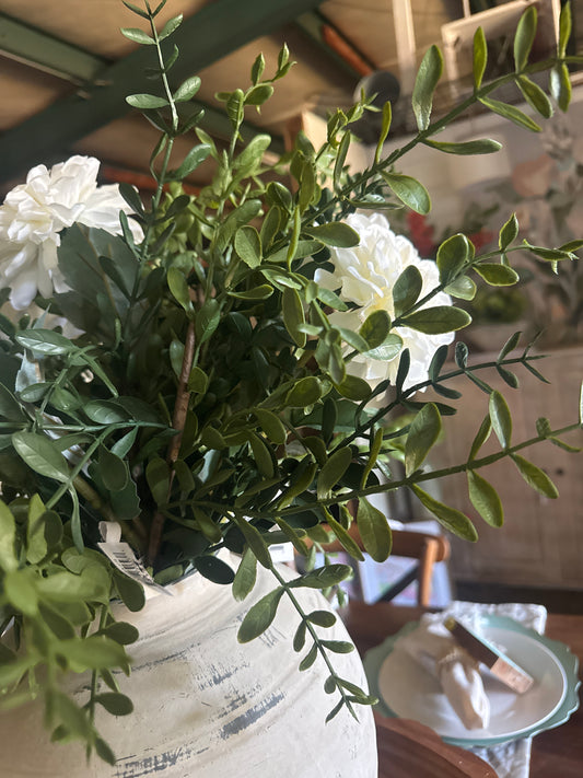 Boxwood Stem