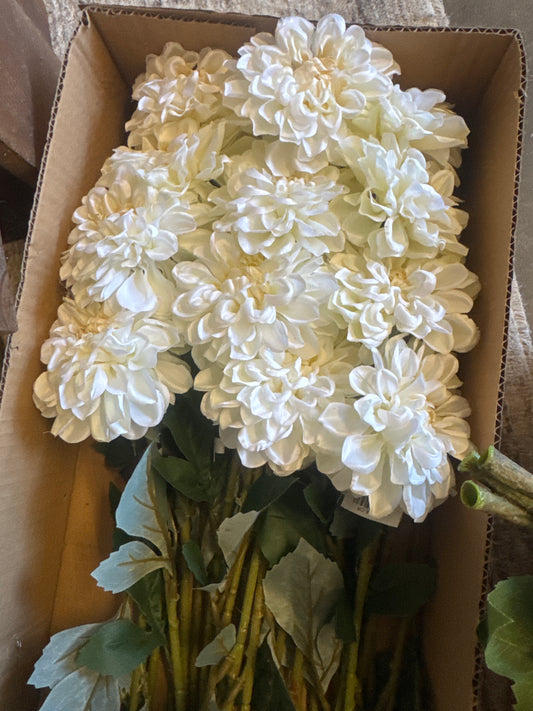 Cream Dahlia Stem