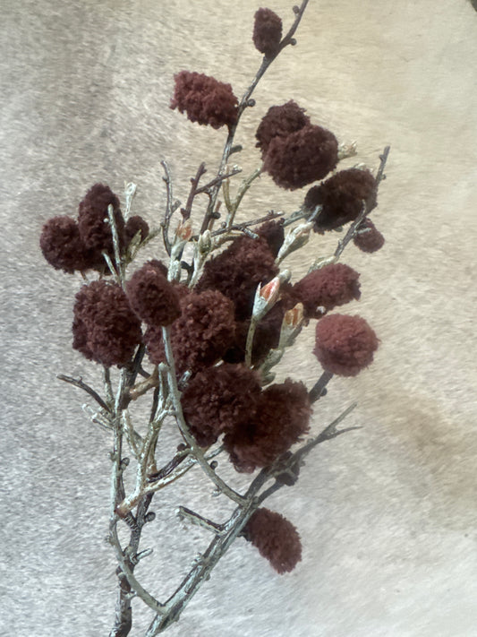 Brown Cotton Spray
